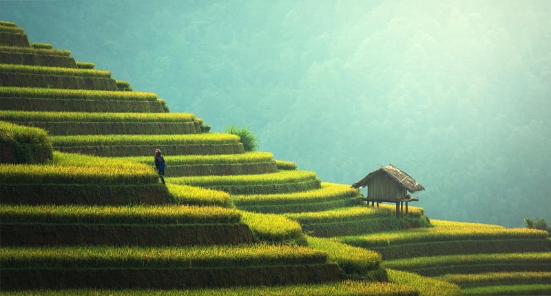 Sustainable Art Ideas